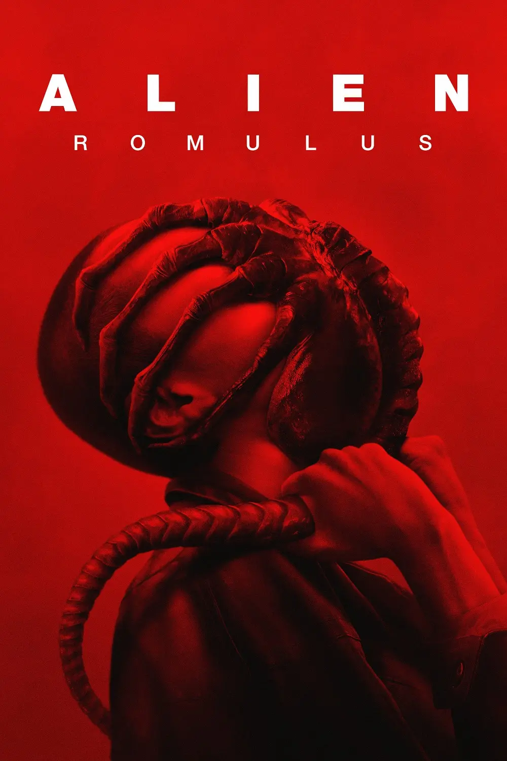 Copertina Film Alien: Romulus Streaming FULL HD 