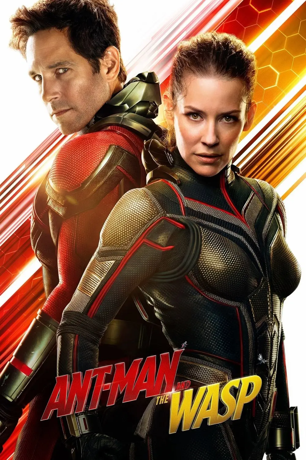 Copertina Film Ant-Man and the Wasp Streaming FULL HD 