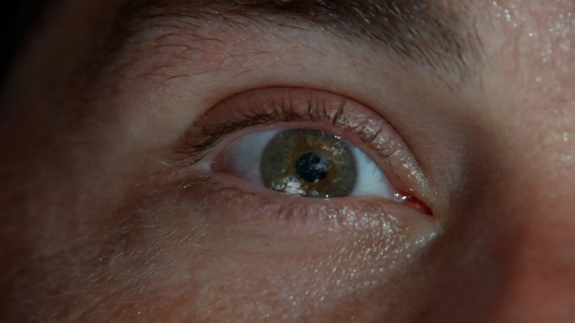 Pilota - Prima Parte