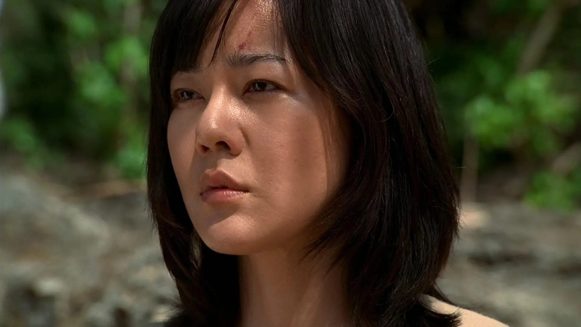 La casa del sol levante