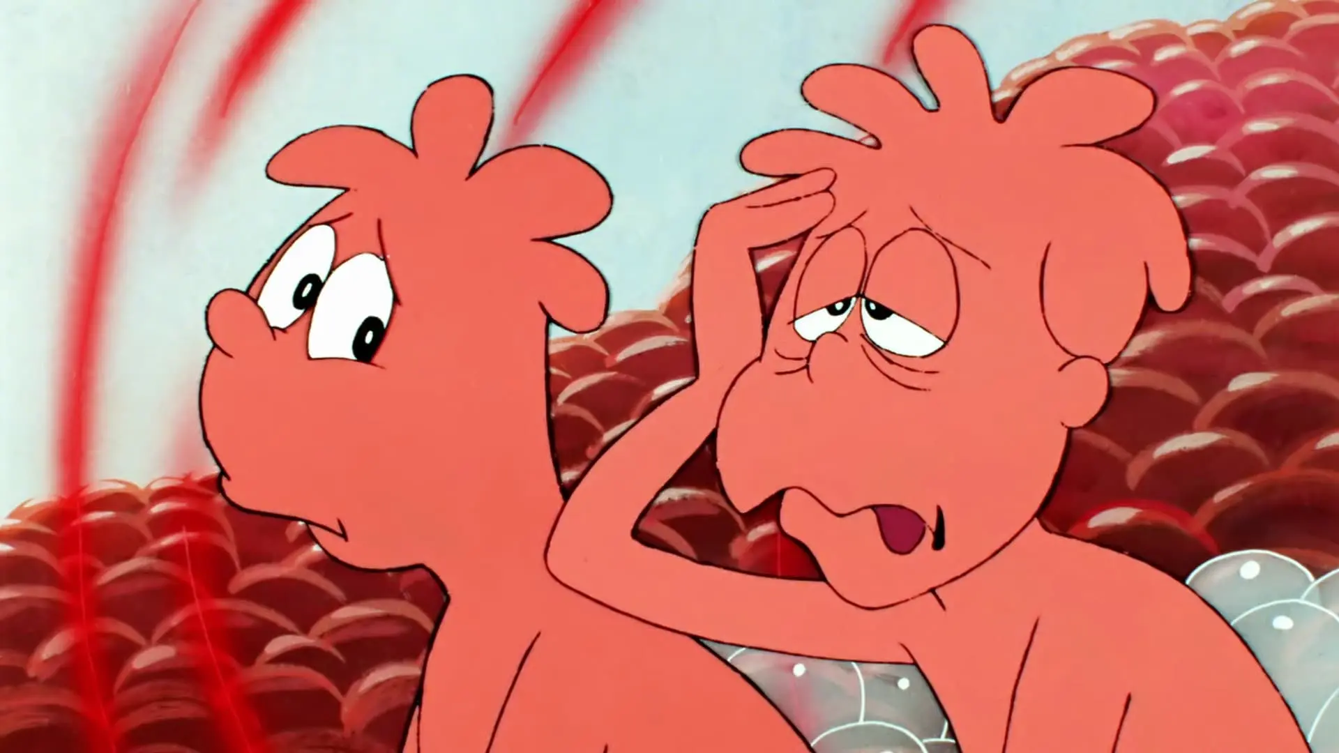 Le ossa e lo scheletro