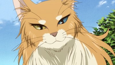 Everything must have a beginning