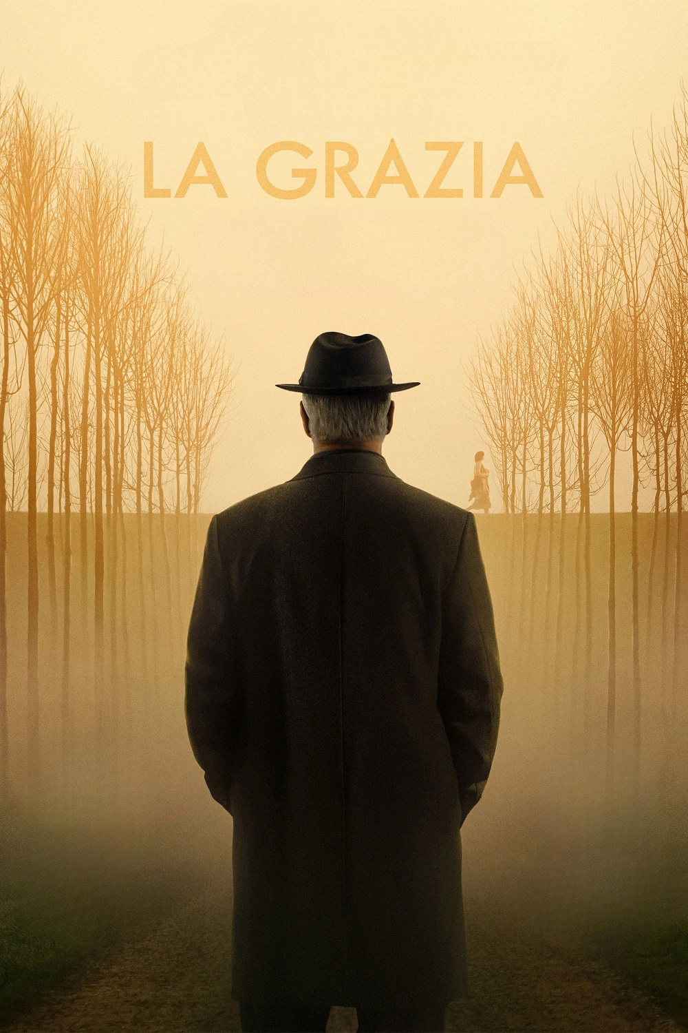 Poster di La grazia